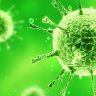 Virus